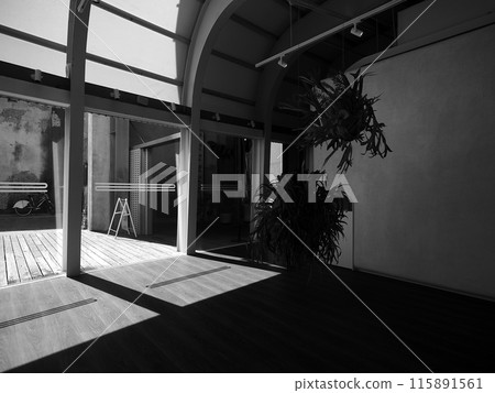 Monochrome landscapes, light and shadow, looking out from inside the studio, 115891561