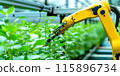 Robotic arm that is holding plant in it's right hand. 115896734