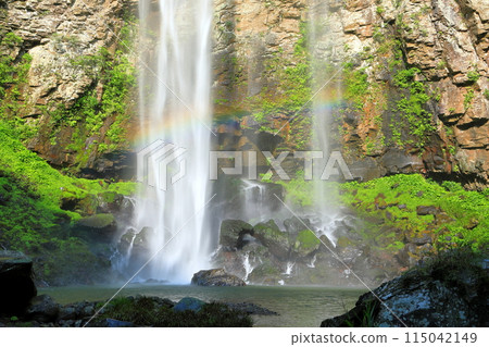 Fukino Falls in early summer (Usa City) 115042149