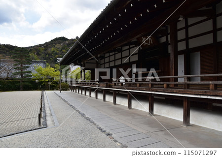 Spring in Kyoto, Japan: Tenryu-ji Temple, a World Heritage Site, and the historic Hojo and beautiful Japanese garden 115071297