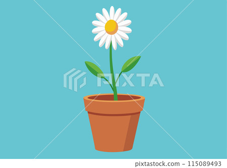 A white flower in a pot on a blue background 115089493