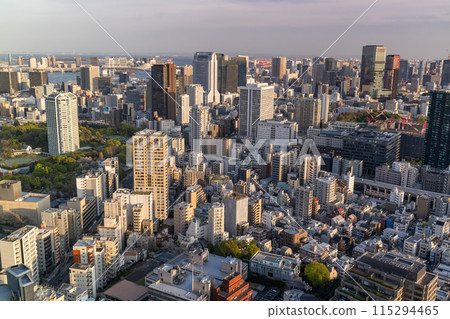 [東京] 東京天際線/城市夜景 115294465