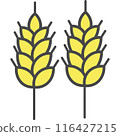 Wheat spikelets vector icon isolated 116427215