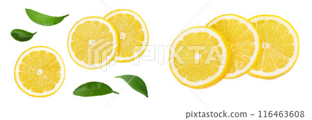 Ripe lemon slices isolated on white background with full depth of field. Top view. Flat lay 116463608