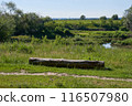 Summer landscape with a wooden log on the bank of a small river 116507980