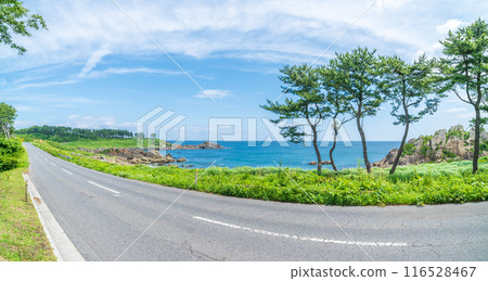 成為青森縣八戶市田上海岸海岸開木東山的“道路”的主題的風景 116528467