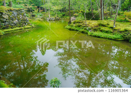 Beautiful Moss Temple in Kyoto 116905364