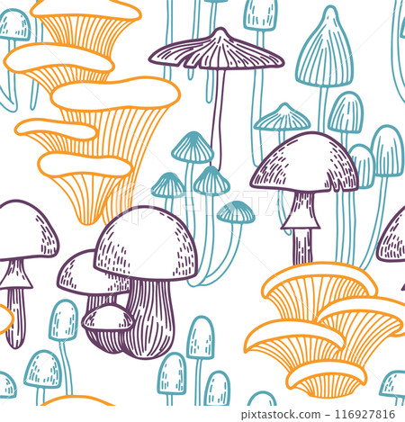 seamless pattern with mushrooms. illustration in sketch style. color vector print 116927816