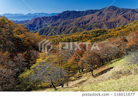 Mt. Kurogane and the Southern Alps mountain range seen from Karatoge Pass in Okuchichibu 116011877