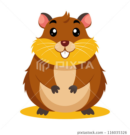 Cute cartoon hamster illustration on white background, children's book, educational card designs 116035326