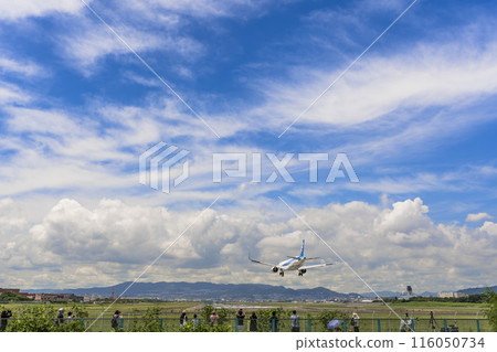 夏季 大阪機場（伊丹機場） 飛機降落大阪府豐中市 116050734