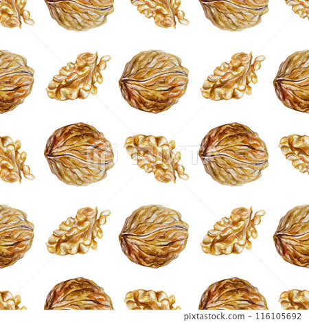 Walnut seamless pattern. Whole and without shell, nut fruit. Hand drawn watercolor illustration isolated on white background. For packaging paper, cards, textiles, fabric, covers. 116105692