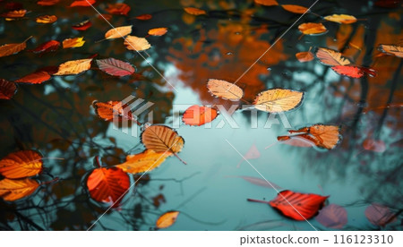 Autumn Leaves Floating on Water's Serene Surface 116123310