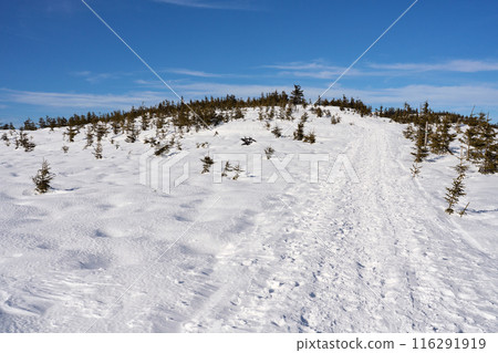 Snowy trail at Silesian Beskid on European Bialy Krzyz in Poland 116291919