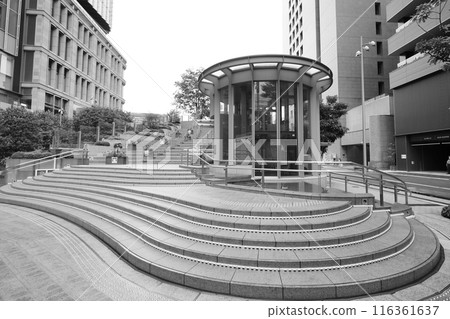 Stone steps in the square 116361637