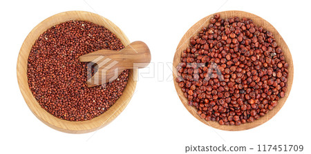 red quinoa seeds in wooden bowl and scoop isolated on white background with full depth of field. Top view. Flat lay 117451709