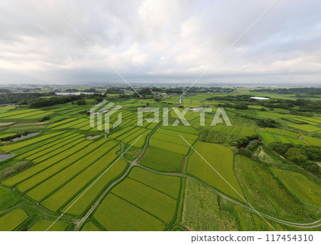 Aerial view of terraced rice fields in summer 117454310