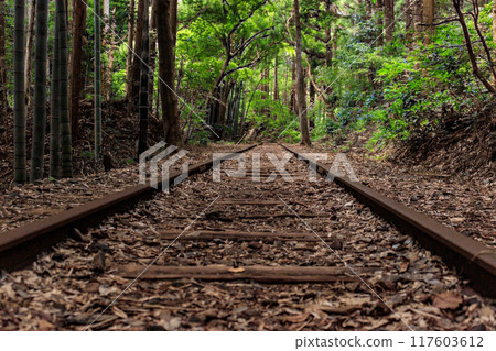 Former Kurayoshi Line Abandoned Tracks and Bamboo Forest 117603612