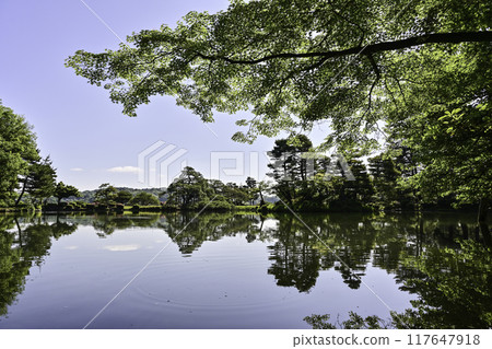 Beautiful fresh greenery in Kenrokuen 117647918