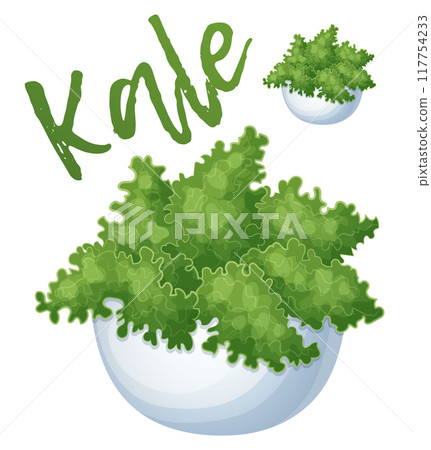 Green kale in a bowl icon isolated on white background. Cartoon vector ingredients illustration 117754233