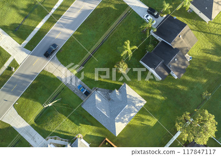 Aerial view of street traffic with driving cars in small town. American suburban landscape with private homes between green palm trees in Florida quiet residential area 117847117