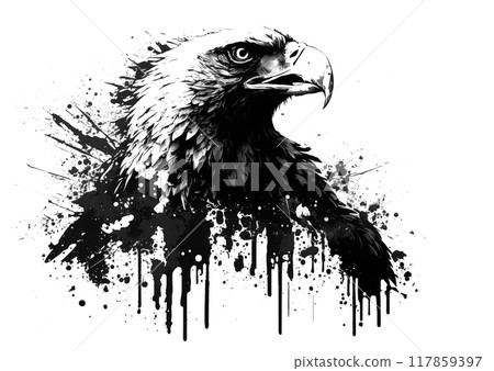 Bald eagle drawn in black ink on white background. Bird. Wildlife Animals. 117859397