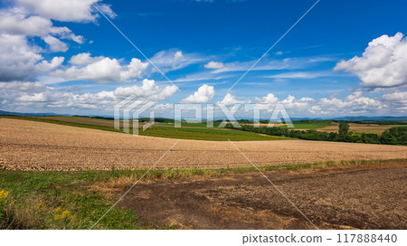 Rural countryside 117888440