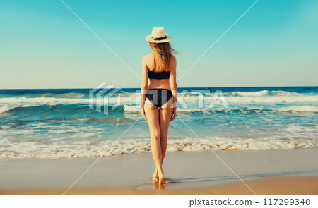 Summer vacation, rear view of beautiful young woman in bikini swimsuit on the beach on sea coast 117299340