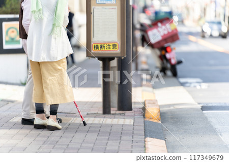 Senior woman waiting for the bus 117349679