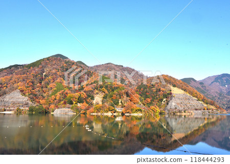 Autumn leaves of Tanzawa 118444293