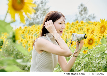 Woman holding a camera in a sunflower field 118808287