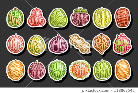 Vector Exotic Fruit Set 118862545