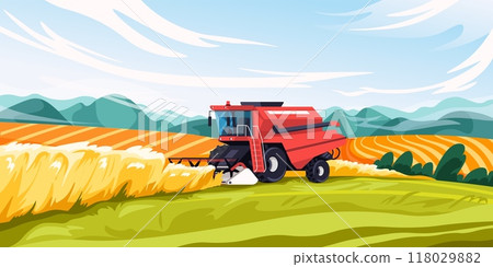 Combine field landscape. Harvesting scene, agriculture harvester machine in village wheat cartoon farmland rural background, farm harvest agro technology recent vector illustration 118029882