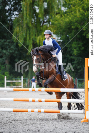 A young female rider in a blue shirt and helmet guides a bay horse over an obstacle in show jumping competition 118055410