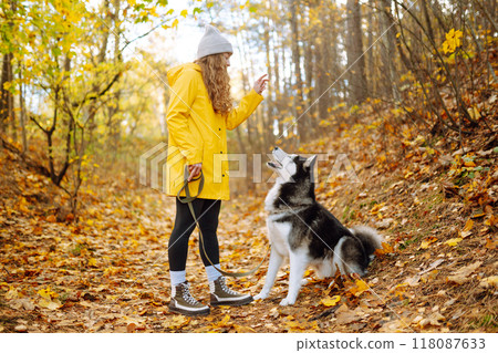 Beautiful young woman in a yellow coat walks in an autumn park with her pet husky. 118087633