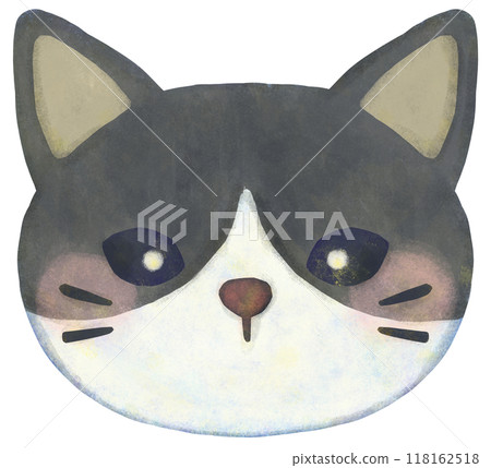 Black and white fur cat illustration face 118162518