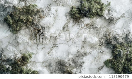 White Marble with Moss Horizontal Background. 118190479