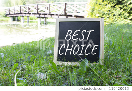 Best choice symbol. Best choice black chalk blackboard. Beautiful meadow background with bridge. Business and Best choice concept. Copy space. 119420013