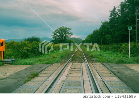 Railroad tracks and railroad crossings passing through the forest 119431699