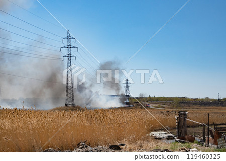 Raging forest fires in spring. Burning dry grass, reeds along the lake. The grass is burning in the meadow. An environmental disaster. Fire and smoke destroy all living things. Firefighters are 119460325