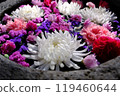 Colorful flowers blooming in a water basin 119460644