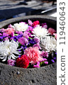 Colorful flowers blooming in a water basin 119460643