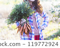 a harvesting carrots 119772924