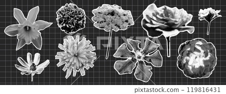 Trendy halftone collage flowers. Rose, meadow flower. Y2K style. 119816431