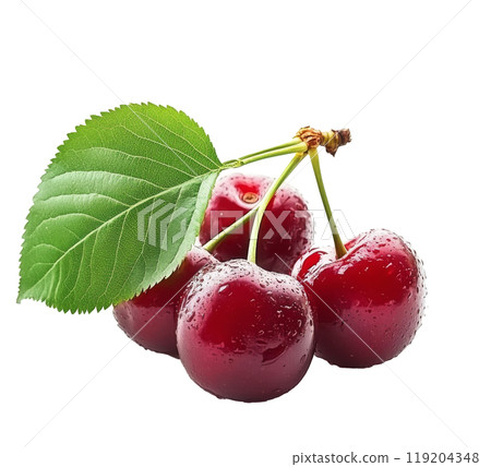 Fresh cherries with green leaves arranged artistically on a white background in daylight 119204348