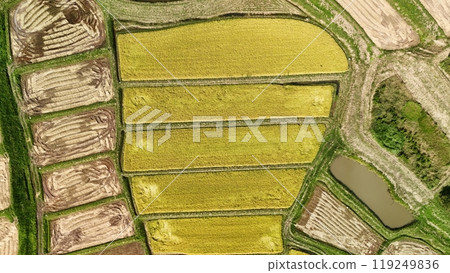 Autumn rice terrace scenery aerial view 119249836