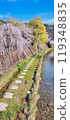 Cherry blossom in spring under clear blue sky in Takayama, Japan 119348835