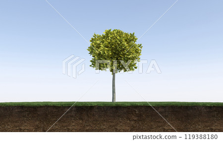 tree on the grass and a slice of soil under it, 3d render 119388180