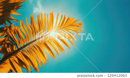 Tropical Leaf Lit by the Bright Sunlight 120412063