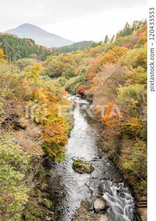 Beautiful autumn foliage spots in Oita 120433553